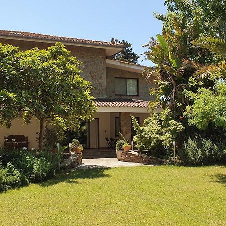 Villa Canu อาลเกโร ภายนอก รูปภาพ