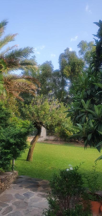 Villa Canu อาลเกโร ภายนอก รูปภาพ